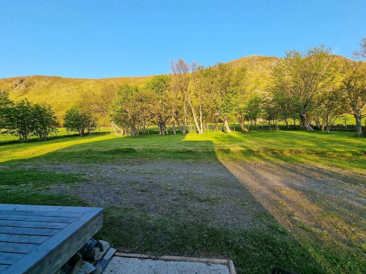 Nappstraumen Seaview Holiday home Haug